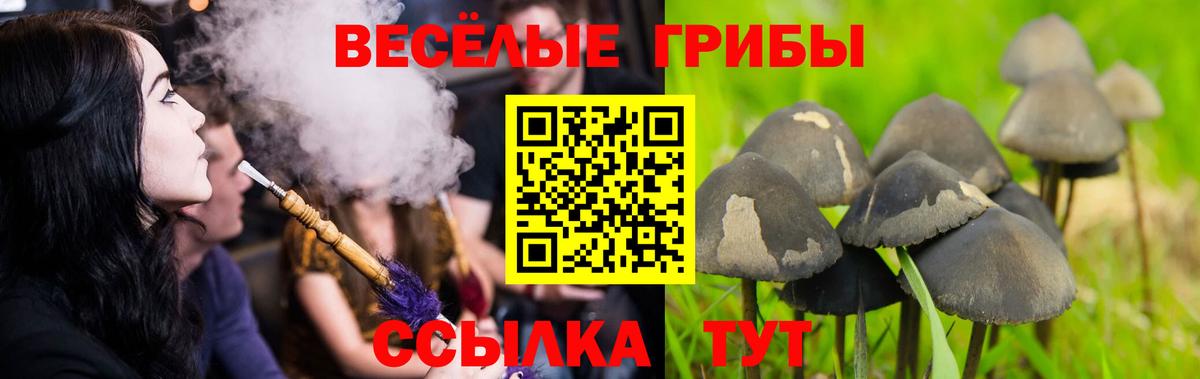 Галлюциногенные грибы Psilocybine cubensis  Вход с VPN  Галлюциногенные грибы Magic Shrooms  Ливны 